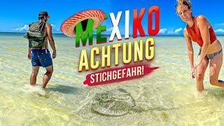 ISLA HOLBOX: Sand Dune, Stingrays and delicious Food | Mexico Travel Vlog