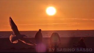 TRES ENVIE DE NORMANDIE AVEC PAR MOMENTS UN HOMME ET UNE FEMME.