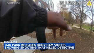 Bodycam video shows fatal shooting of Oak Park Detective Allan Reddins