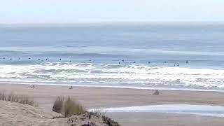 Sep 8, 2022 surf watch Ocean Beach San Francisco