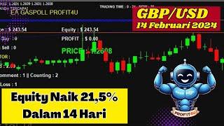 Forex Trading 14 February 2024 | Equity Increased by 21.5% in 14 Days | Forex Robots