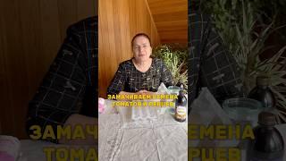 Как подготовить семена к посеву рассады