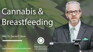 Cannabis & Nursing Your Baby