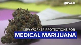 New medical marijuana bill good sign for pot's future in Louisiana, officials say