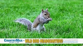 CountryMax Backyard Wild Bird & Wild Life Headquarters