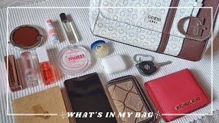 what's in my EVERYDAY bag 