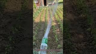 "Genius DIY Farm Hack: Turn a Plastic Bottle into a Watering Sprinkler!"
