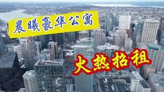 Vlog164-First light Seattle 西雅图市中心全新豪华公寓 火热招租中！ Sea to Sky Management 西雅图地产物业管理公司 好房帮你租