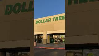 What's New At DollarTree #dollartree #dollartreehaul #dollartreefinds #haul #shorts #short #shopping