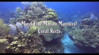 Mind Your Marine Manners!  Cayman Islands Coral Reefs