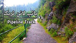 Pipeline Track Nathia Gali | Moto Tunnel Ayubia | Ayubia National Park | Travel