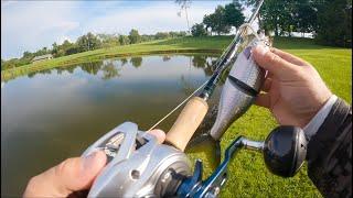 Fishing A New Pond: Where To Start