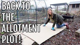 BACK TO THE ALLOTMENT PLOT! / ALLOTMENT GARDENING UK