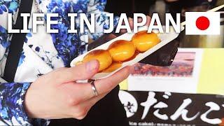 [Vlog]Daily life in Japan Ate Dango and viseted Shrine