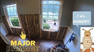 FIXING MAJOR TERMITE DAMAGE IN INTERIOR WALL