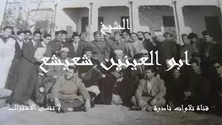 فلما وضعتها قالت رب إني وضعتها أنثى | ابو العينين شعيشع | مسجد الامام الحسين 1959م