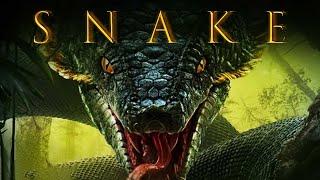 Deadly Jungle Beast | Snake | Full Action Thriller Movie | Free Movie