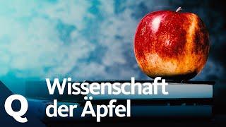 Der Apfel – Alles was du wissen musst | Quarks