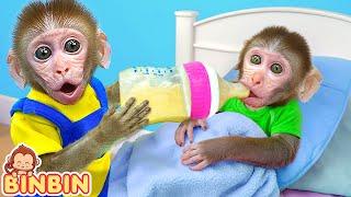 Monkey Binbin Challenges To Be a Good Brother And Check Up a Sick Little Monkey | MONO BINBIN ESP