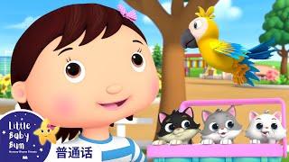 小小寵物 | Little Baby Bum Mandarin  | 新曲 | 兒童歌曲 | 童謠 | 兒歌 | 小寶貝布姆