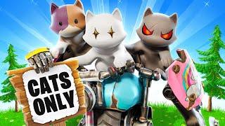 The *UNDERCOVER* CAT Challenge in Fortnite!