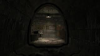 S.T.A.L.K.E.R. CoC Demofen Atmosphere - The Collector