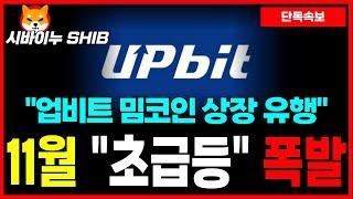 [시바이누 코인] 업비트에서 터진 밈코인 상장 유행! "100배" 수익 나온다!