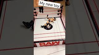 my new wwe toy