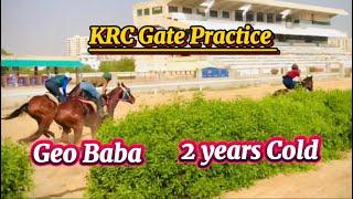 KRC | Gate Practice | Ehtisham Murtaza | Karachi Race Club #Horseriders #horselovers #sports