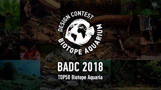 TOP50 Biotope Aquarium Design Contest #BADC2018