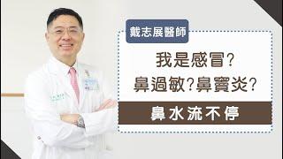 《鼻水流不停》最常弄錯的疾病診斷，我是感冒?鼻過敏?鼻竇炎_ 戴志展醫師