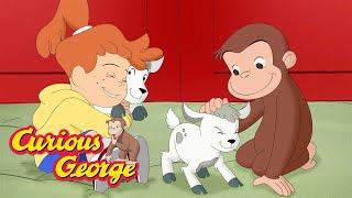 Learning About Animals with George  Curious George  Kids Cartoon  Kids Movies