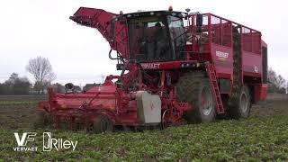 J Riley Vervaet Q-616 sugar beet harvester demonstrations 2021