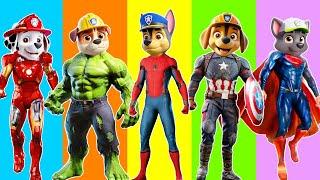 PAW Patrol CHALLENGE Choose Correct Drink Become Spider-Man 5 Time Challenge With Chase