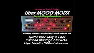 Cosmic Moog Experience 1 Uber MOOG MODX Sample Pack Yamaha Montage Synthesizer