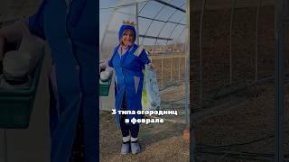 А вы в какой группе? #деревня #грядки #юмор #огород