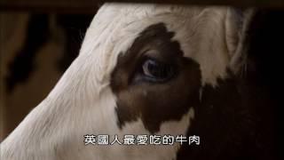 BBC全球食物價格為何飆漲3