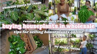 Buying Houseplants in Wholesale🪴How to Sell Houseplants Online, Running A Plant Store From Home