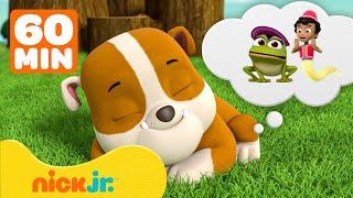 Patrulha Canina | Os Sonhos Mais Malucos do Rubble! c/ Marshall & Chase | 1 hora | Nick Jr.