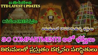 ttd latest updates || tirumala free darshan | meena tirumala updates