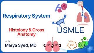 Respiratory Anatomy (3 Must-Know Concepts) | USMLE Step 1, 2 & 3 | Case 7 Review