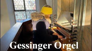 Vlog Gessinger Orgel ev. Bartholomäuskirche Uettingen, Dorfkirche Franken, Blog, Orgelvermittlung