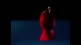 Beach House - The Traveller