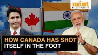 Why A Prolonged Conflict With India Doesn't Bode Well For Canada's Business & Trade | Explained