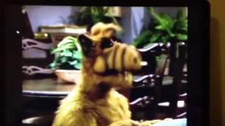 Alf's hiccups.