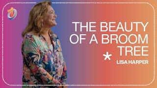 The Beauty Of A Broom Tree // Lisa Harper | The Belonging Co TV