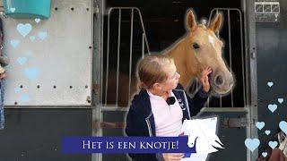 Eerste keer proefje rijden met Tessa haar nieuwe pony -FNRS proefje 6B dressuur- *Hart voor Paarden*