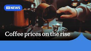 Australian coffee prices to hit new highs | ABC NEWS