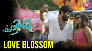 Love Blossom | Dulquer Salmaan | Charlie |  Malayalam Movies | Sun NXT Malayalam