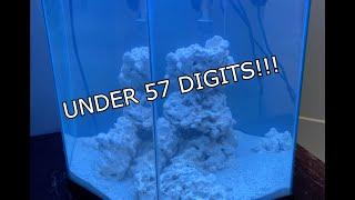 Setting up Saltwater Aquarium on a Budget (under $57!!!)